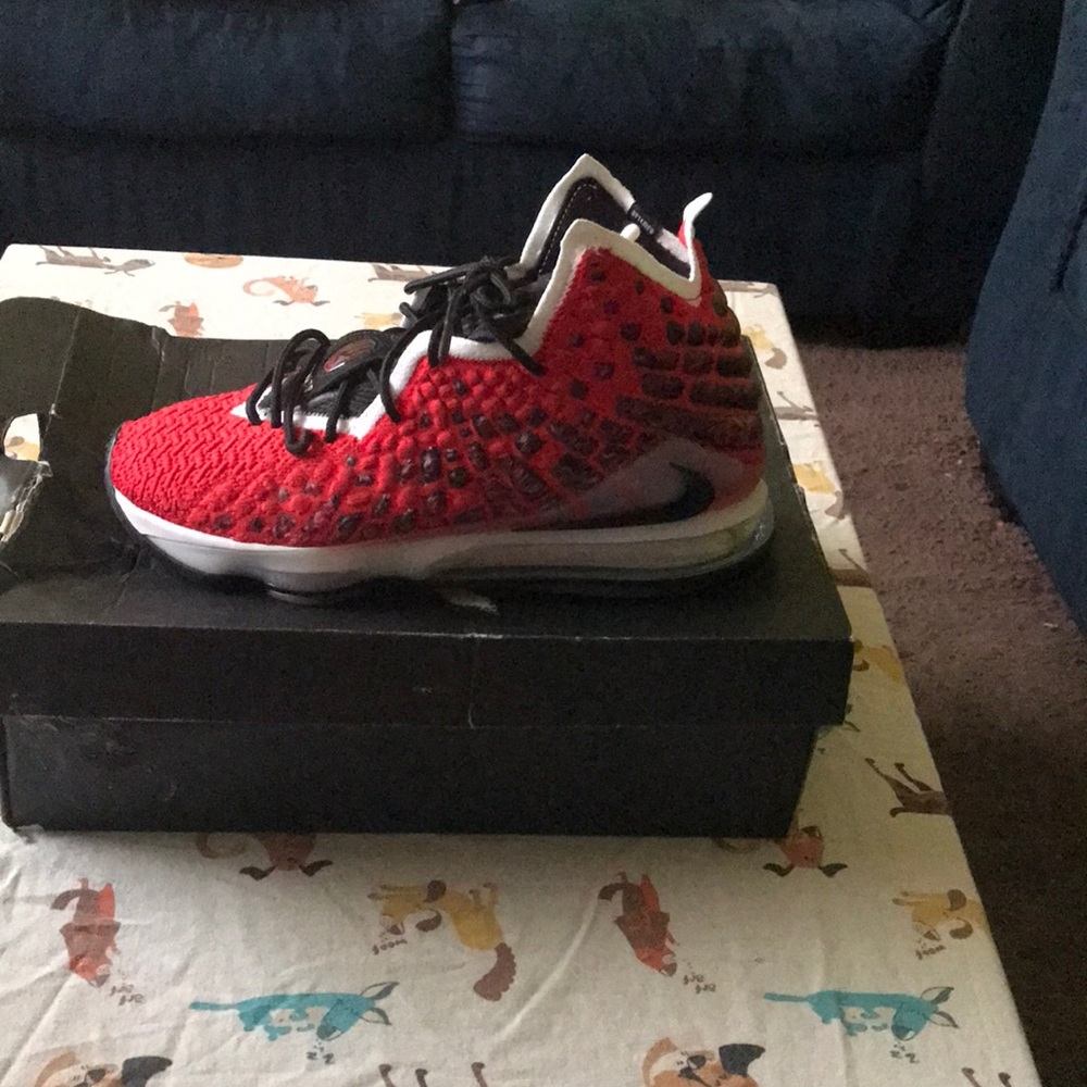 Nike Labron